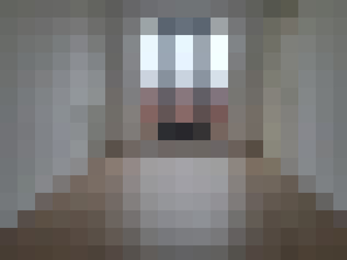  / #11