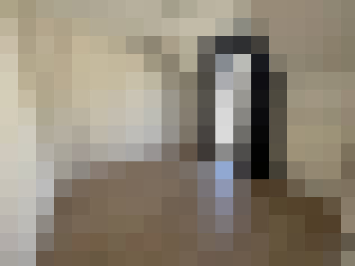  / #12