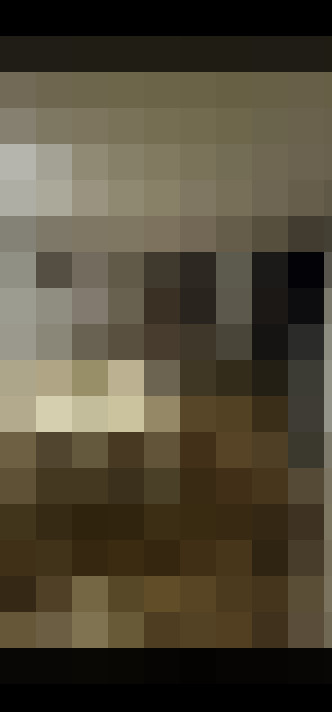 Image 26