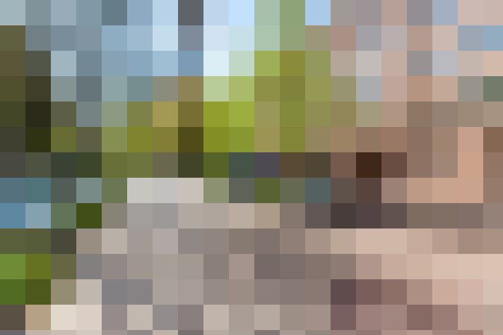 Image 30