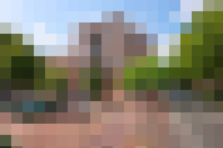 Image 22