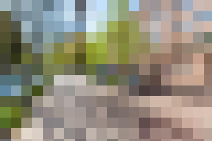 Image 44