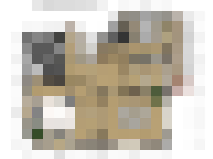 Image 30