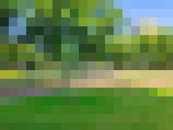  / #6