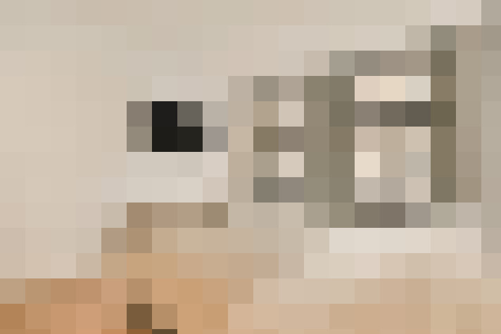  / #19