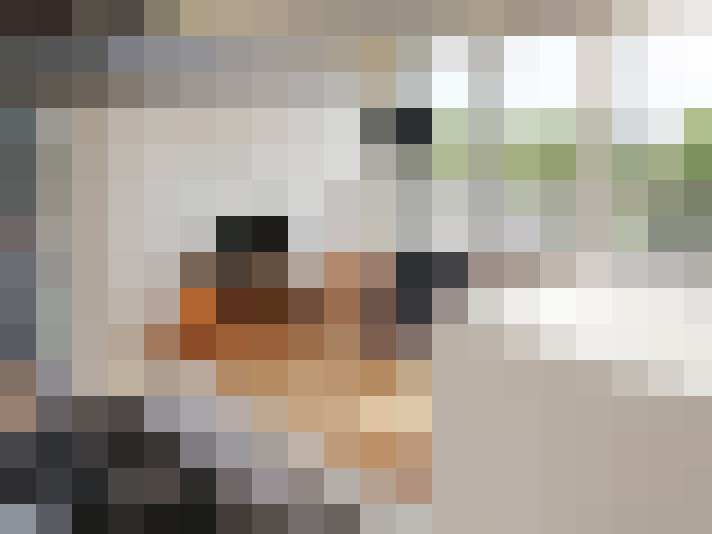  / #19