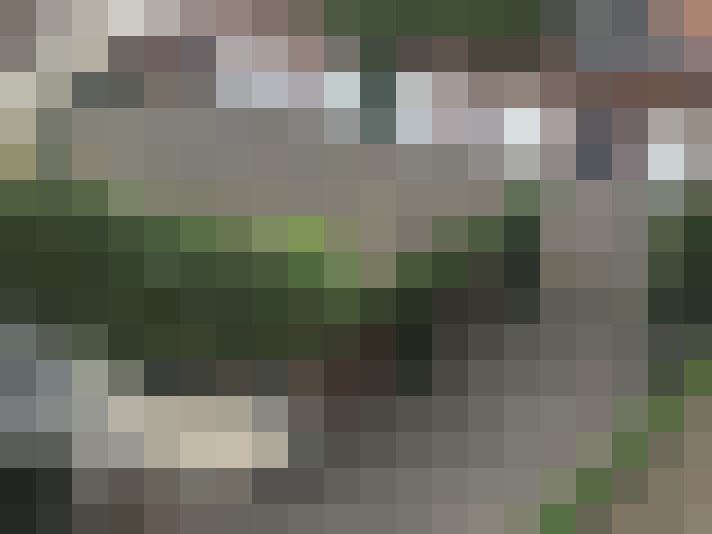 Image 24