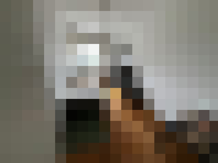  / #7