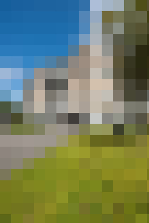 Image 27