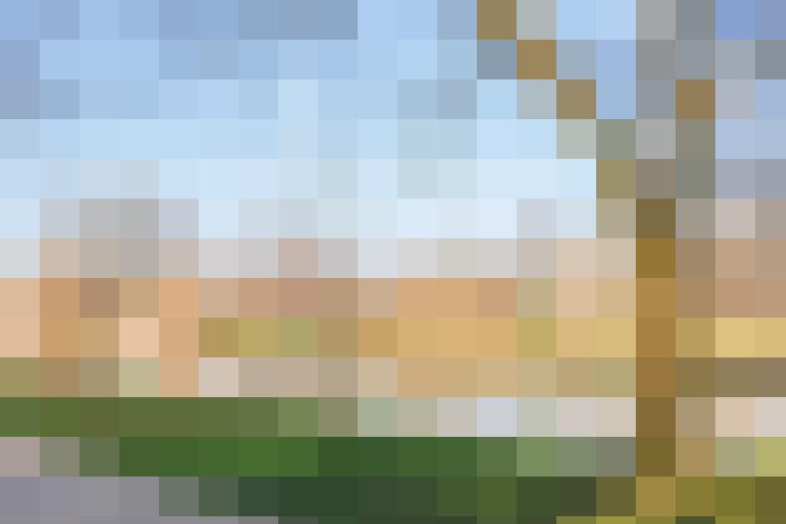 Image 23
