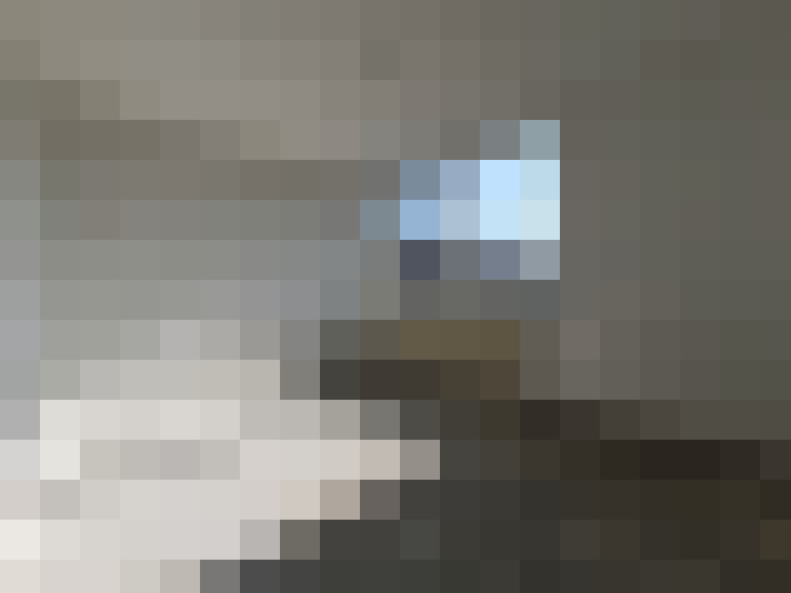  / #7