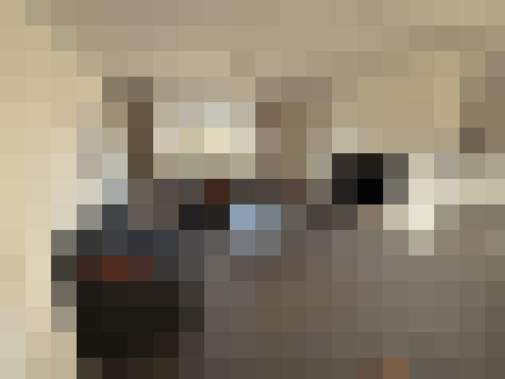  / #9