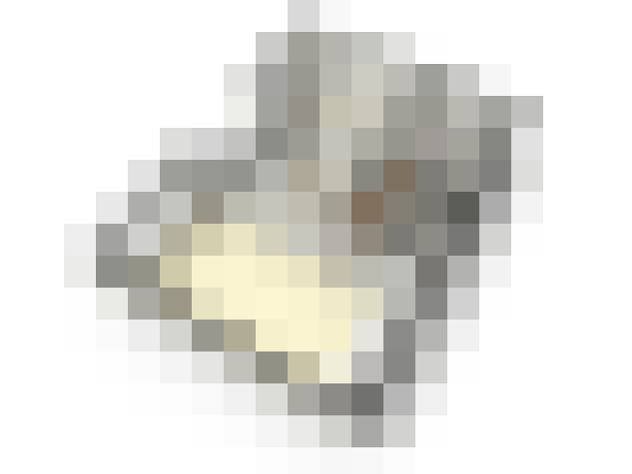  / #16