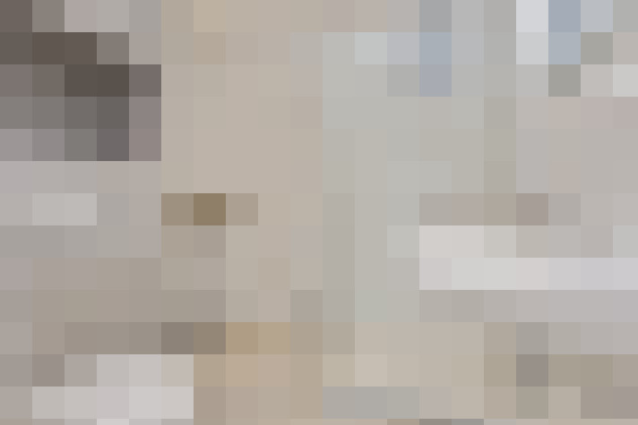 Image 17
