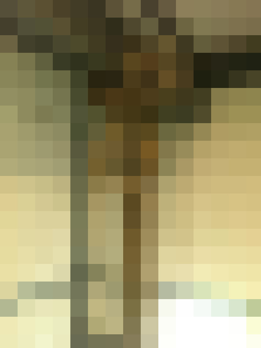 Image 20