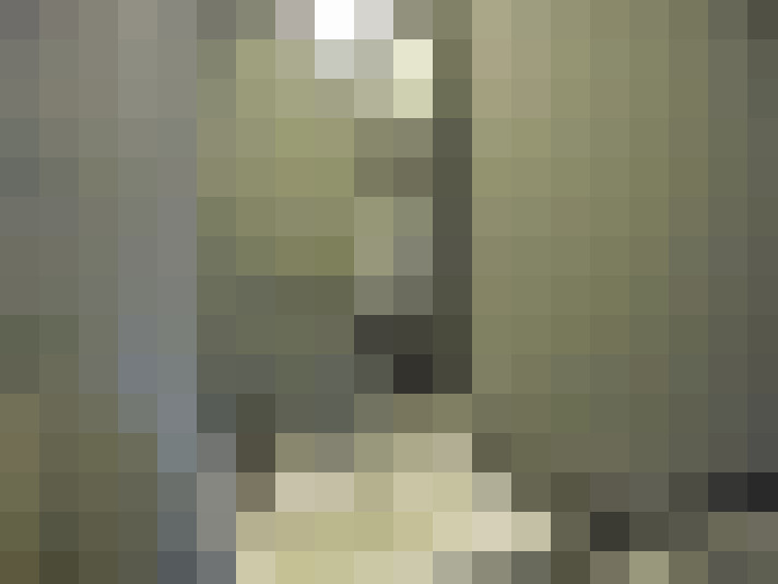 Image 21