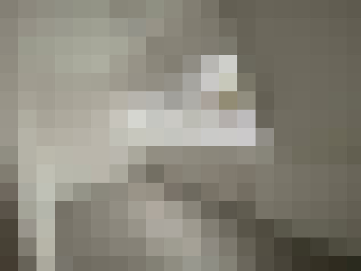  / #6
