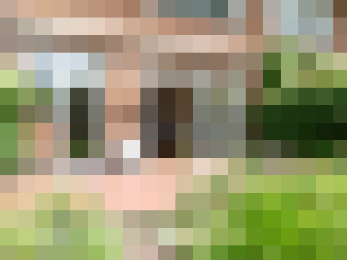 Image 44