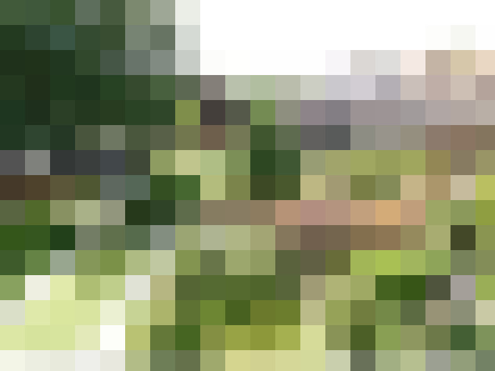 Image 45