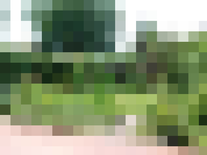 Image 40