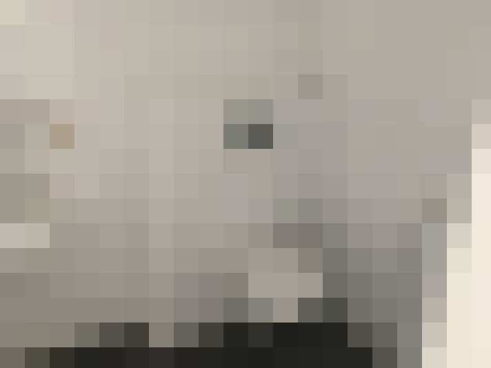  / #12