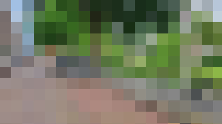 Image 25