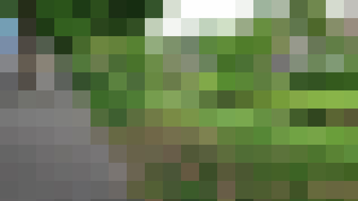 Image 26
