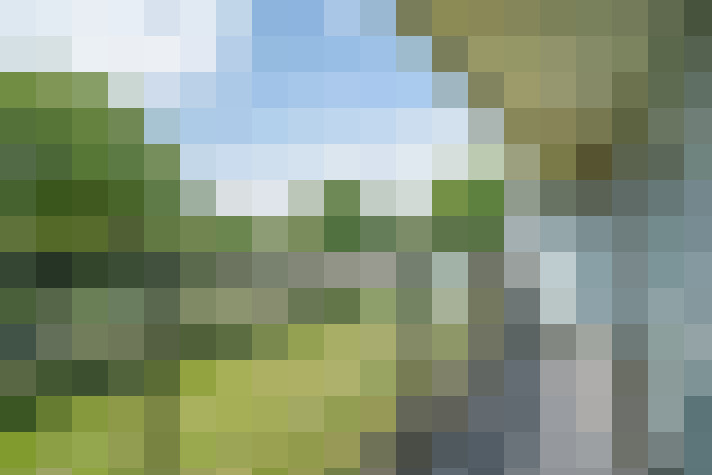 Image 13