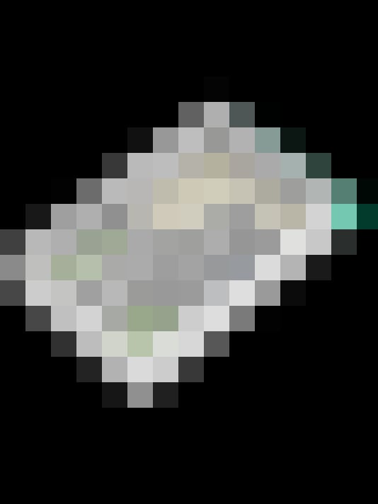 Image 23