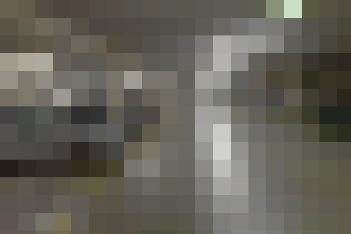  / #19