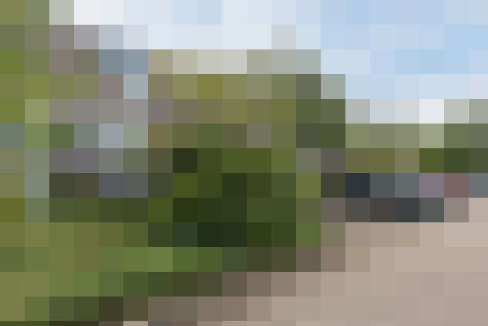 Image 15