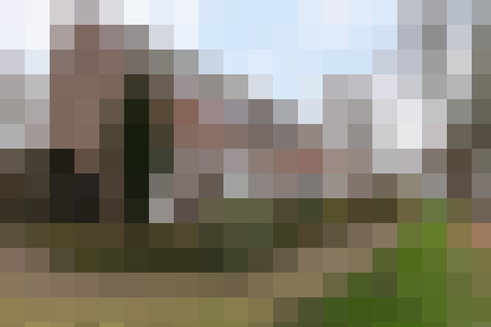 Image 33