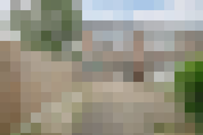 Image 26