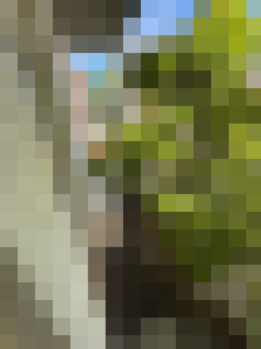 Image 13