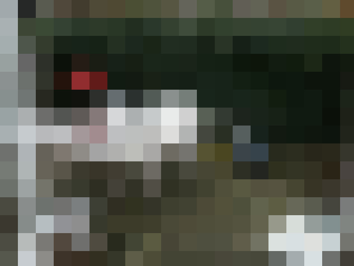  / #9