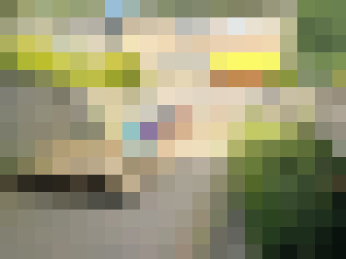  / #17