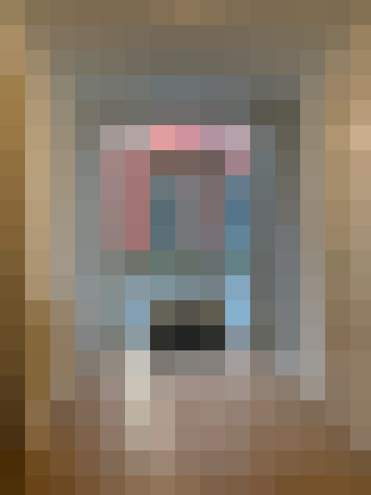  / #21