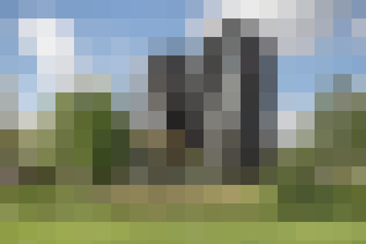 Image 17