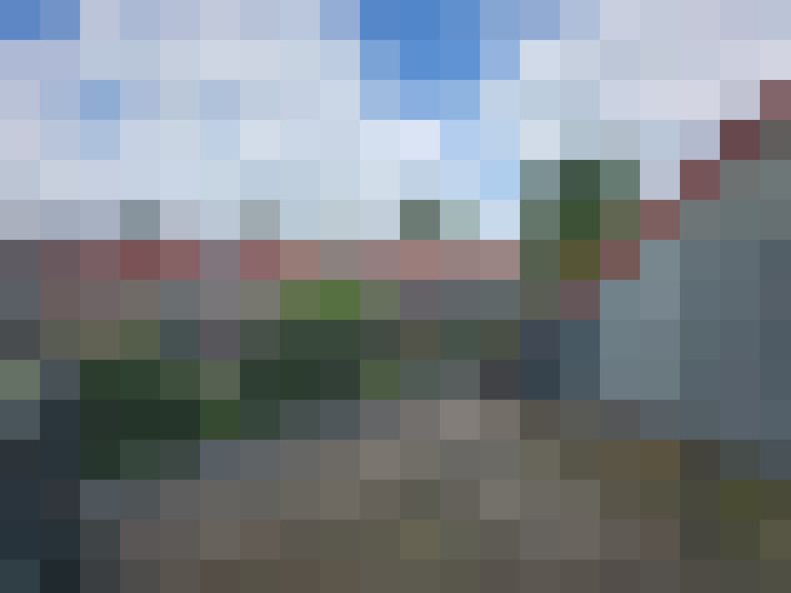 Image 14
