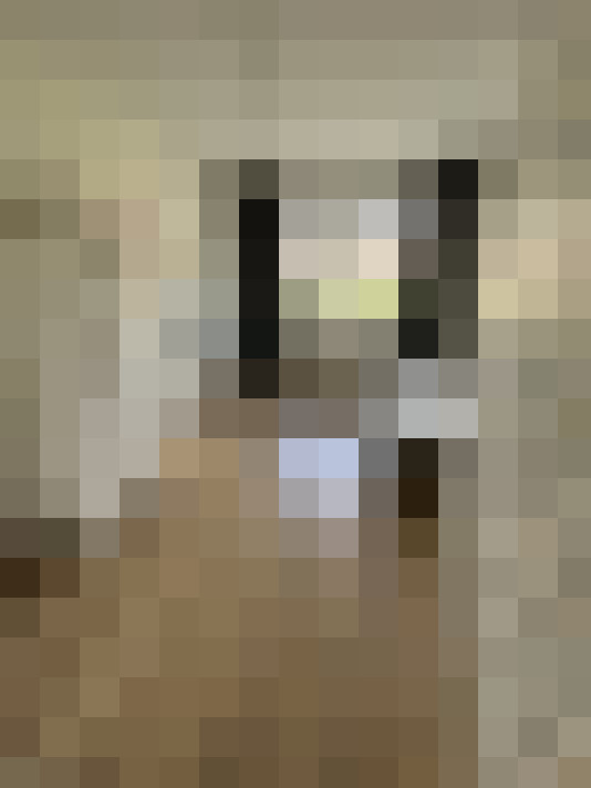  / #14