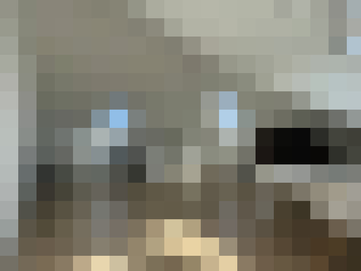  / #20