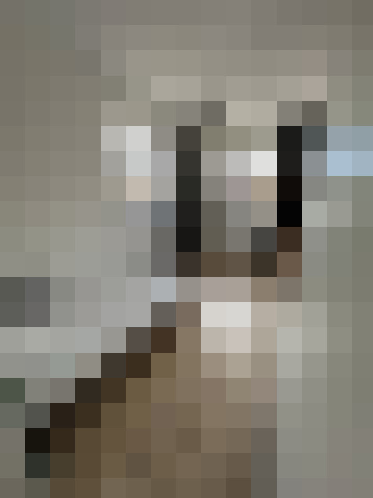 / #16