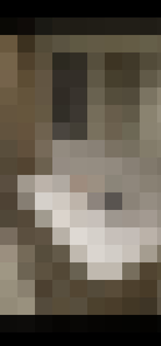 Image 32