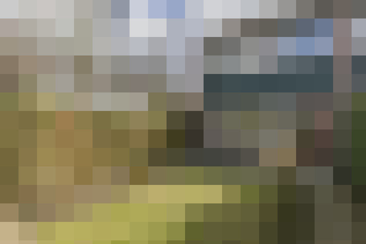 Image 15