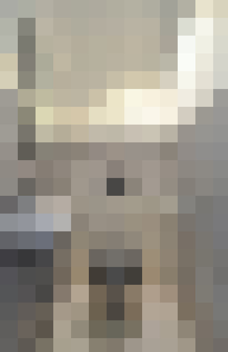  / #56