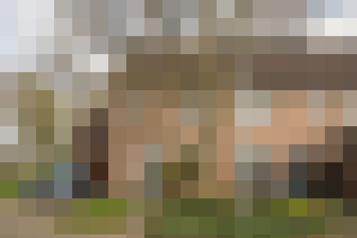 Image 13