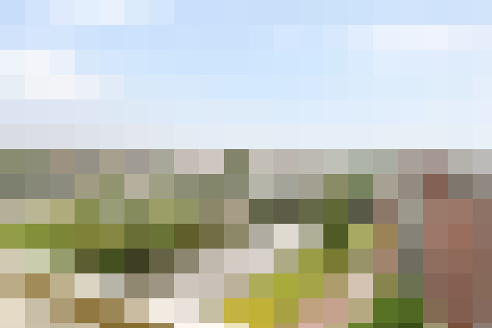 Image 20