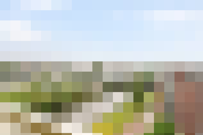 Image 31
