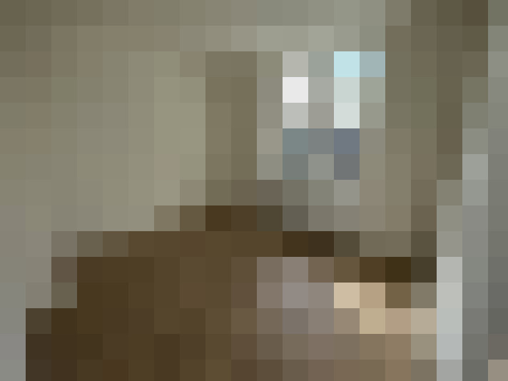  / #7