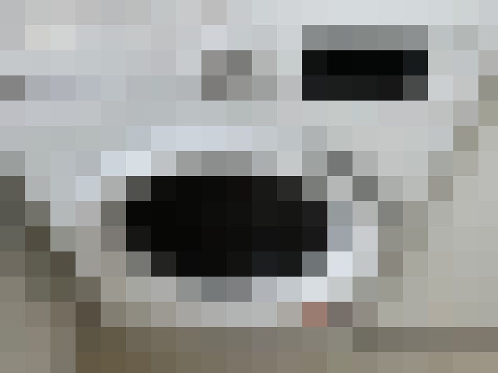  / #13